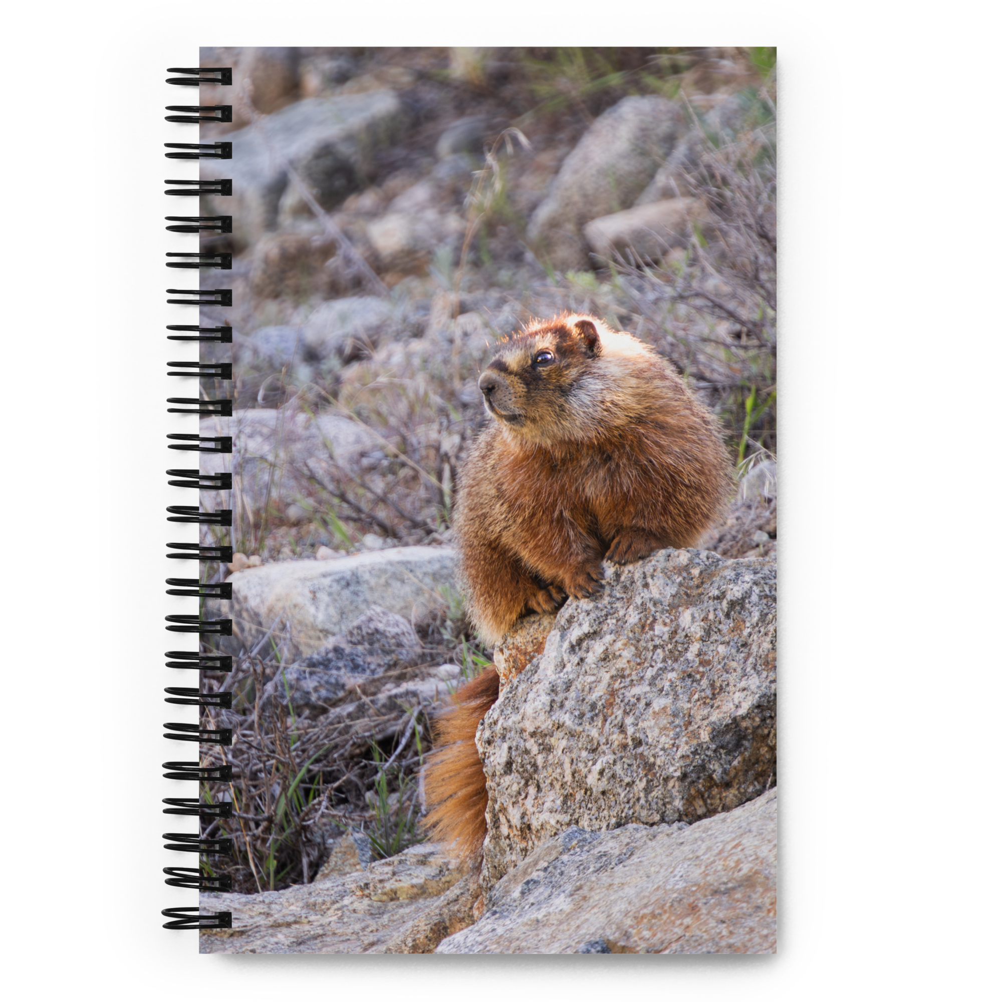 Marmot Spiral notebook