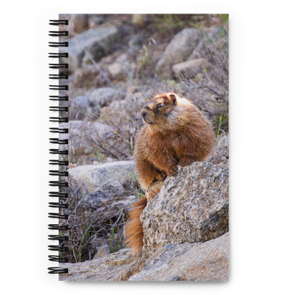 Marmot Spiral notebook