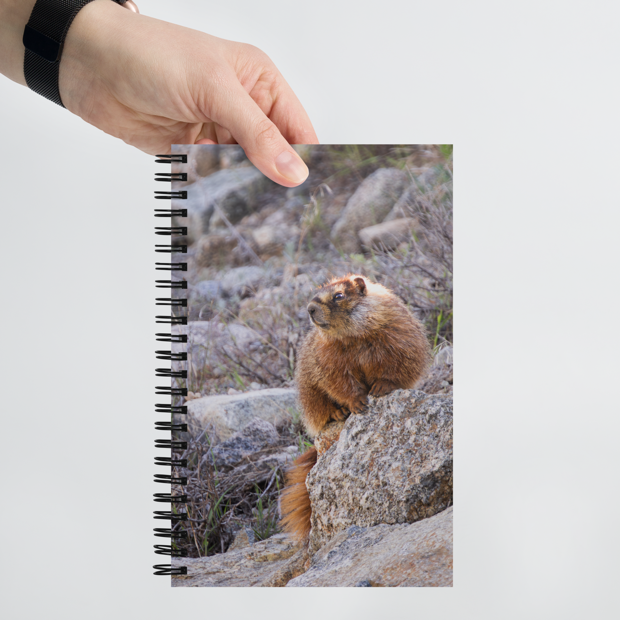 Marmot Spiral notebook