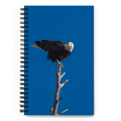 Eagle Spiral notebook