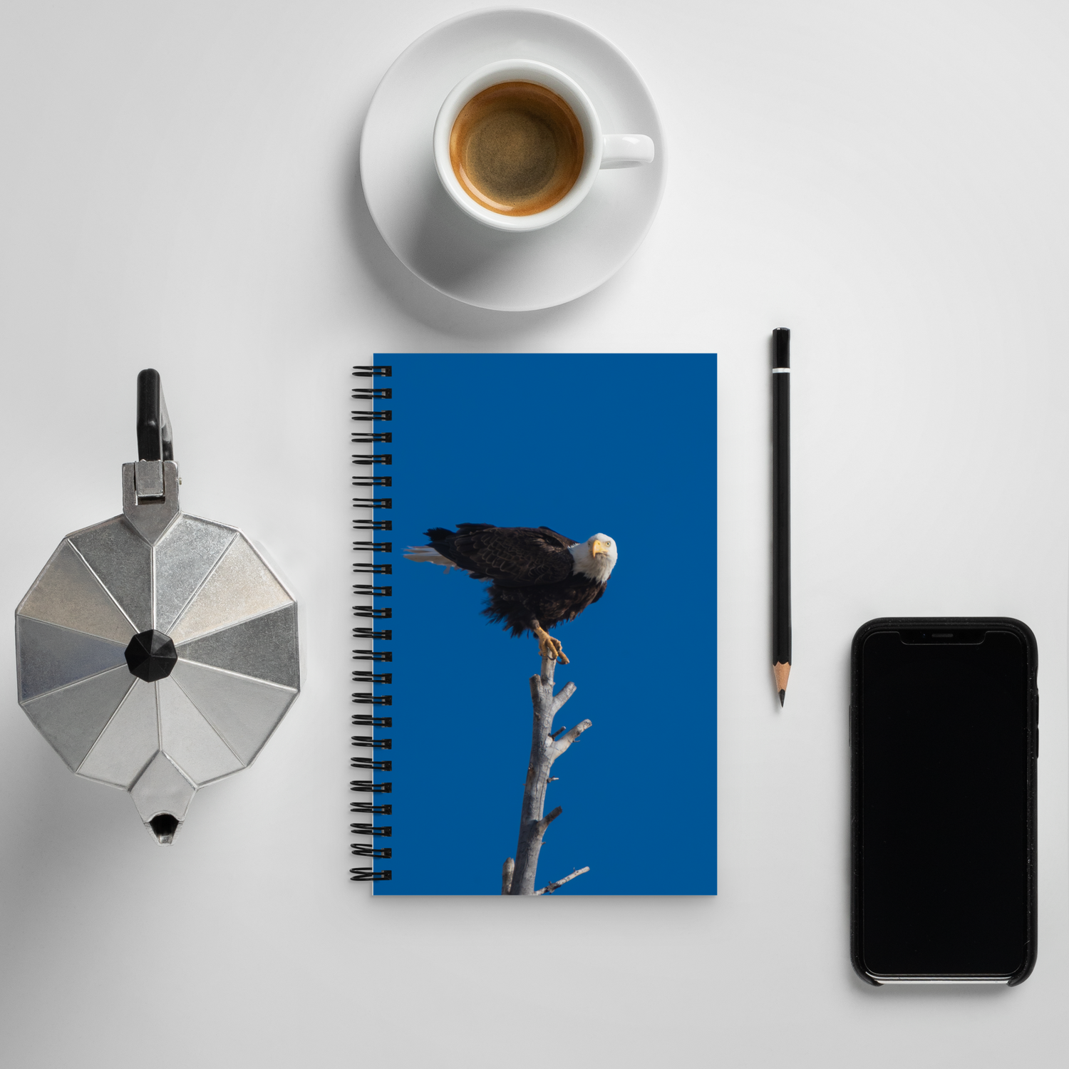 Eagle Spiral notebook