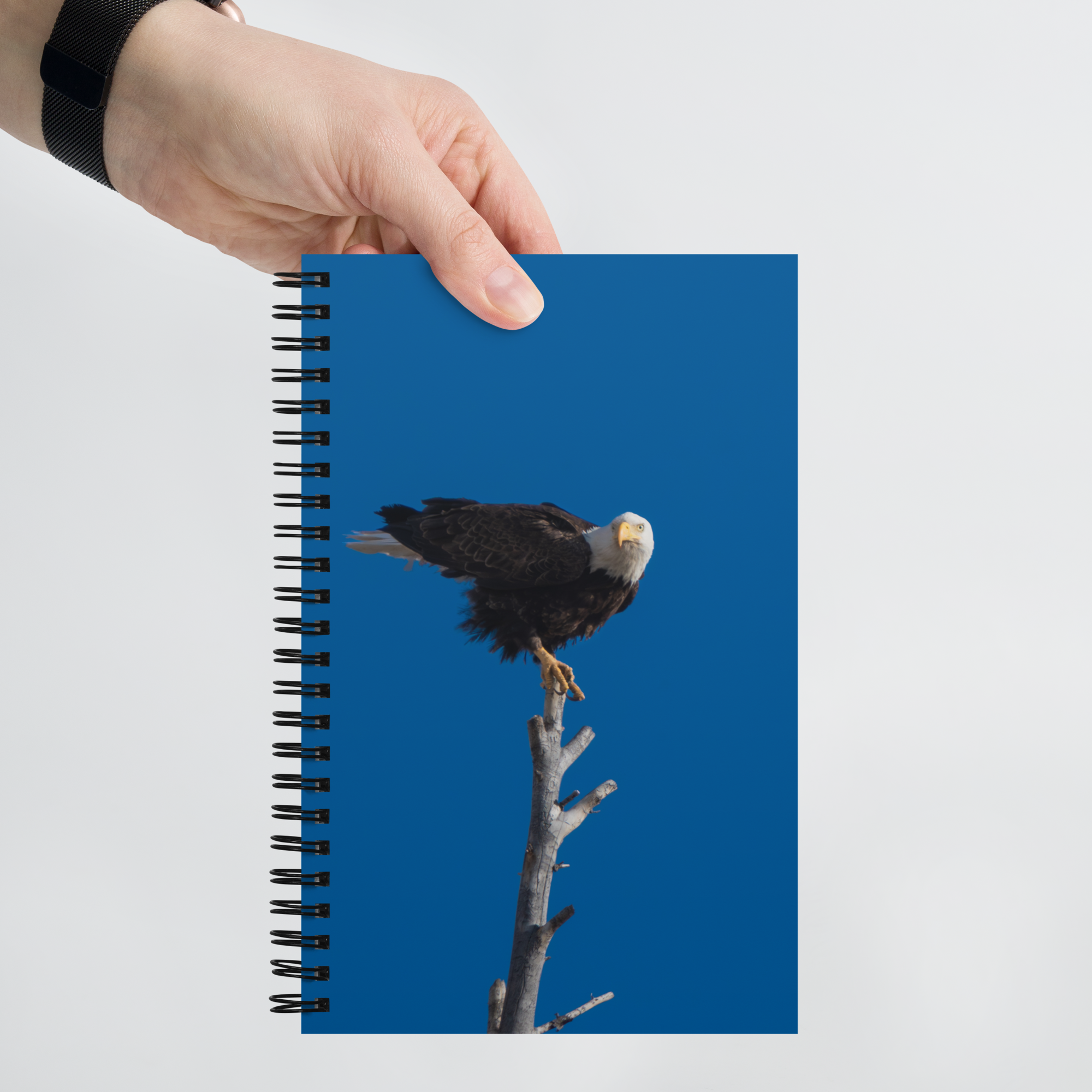 Eagle Spiral notebook