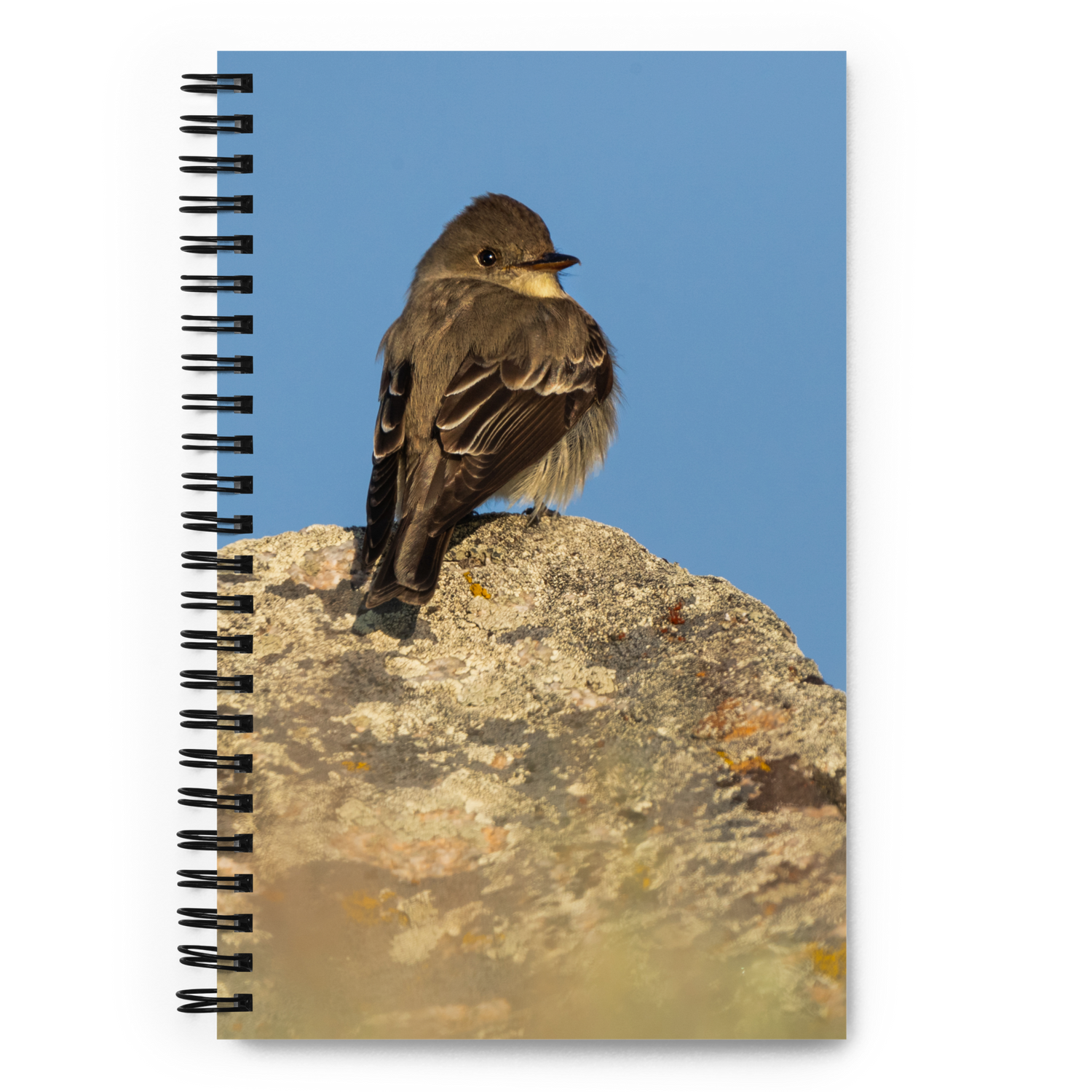 Little Bird Spiral notebook