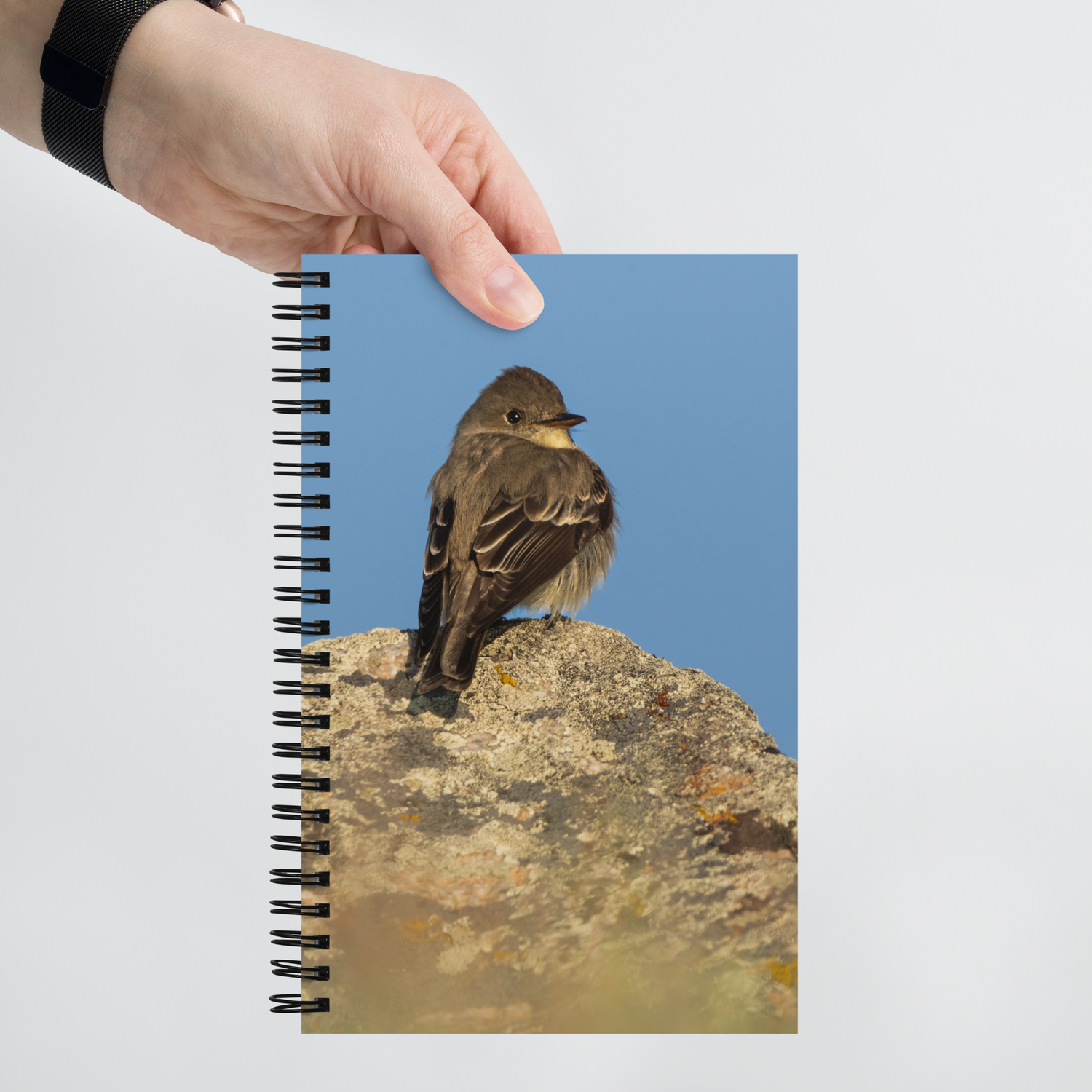 Little Bird Spiral notebook