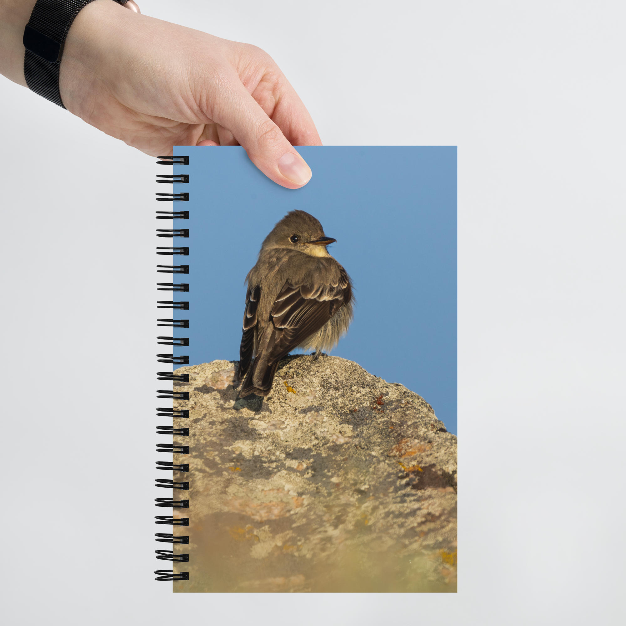 Little Bird Spiral notebook