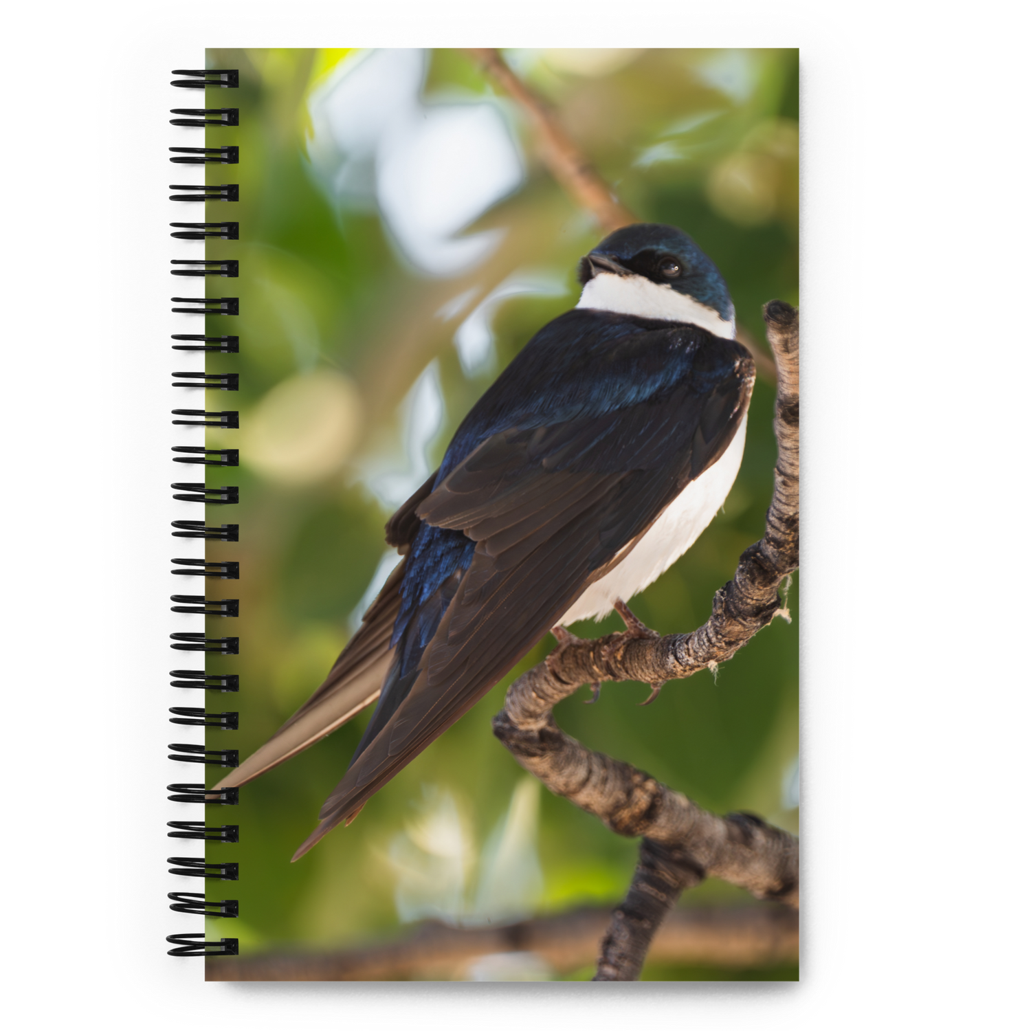 Tree Swallow Spiral notebook