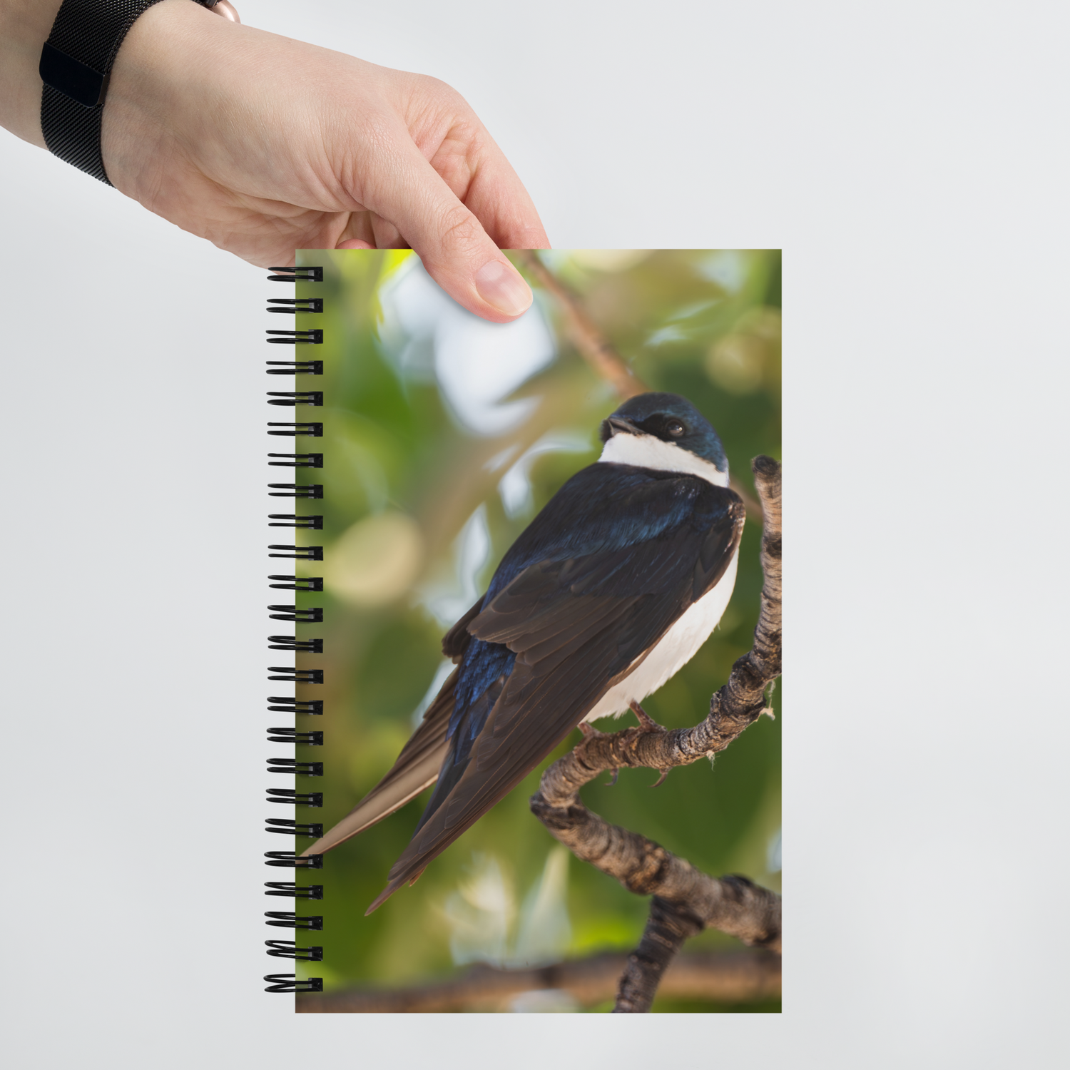 Tree Swallow Spiral notebook