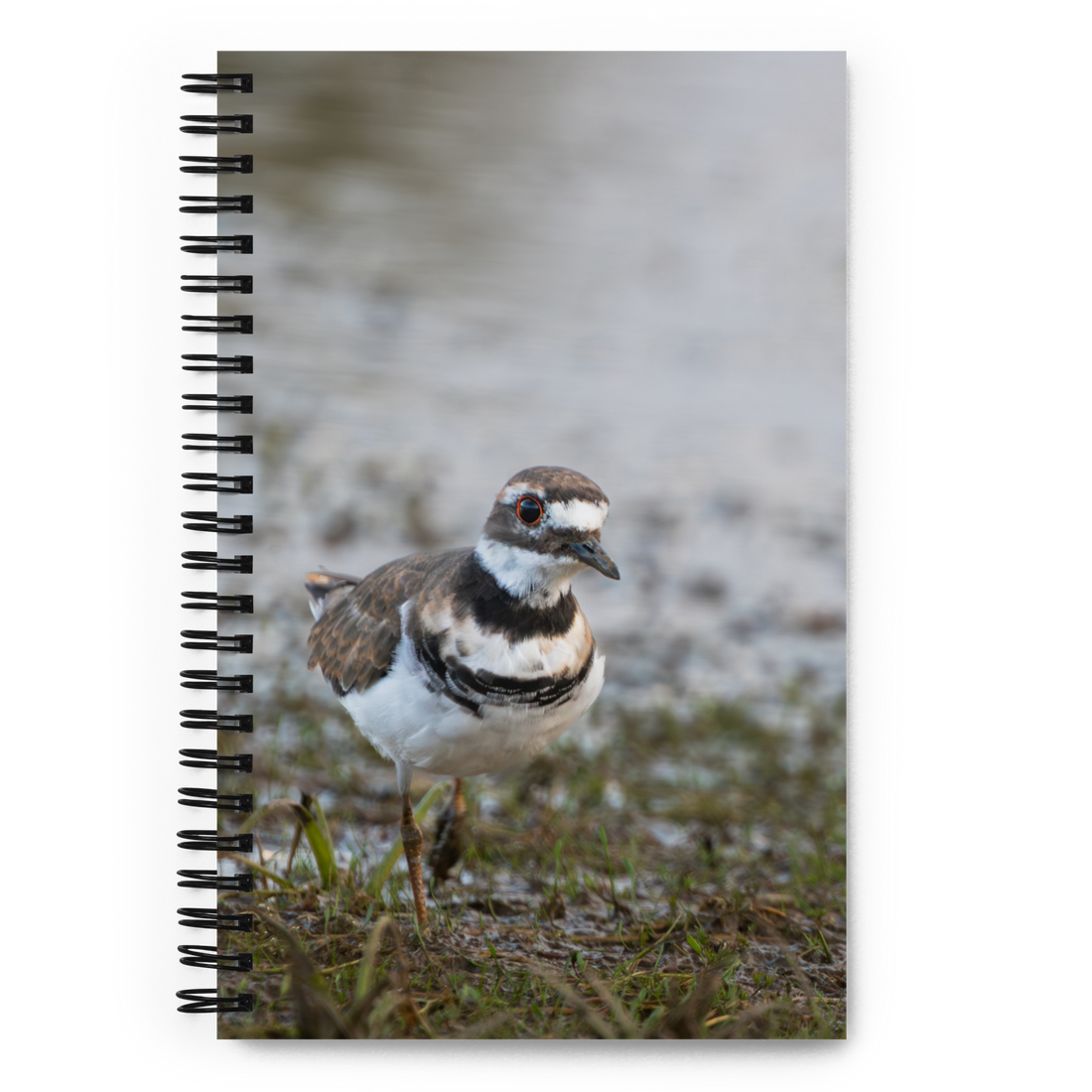 Killdeer Spiral notebook