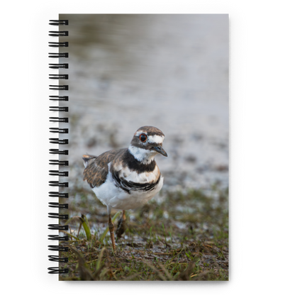 Killdeer Spiral notebook