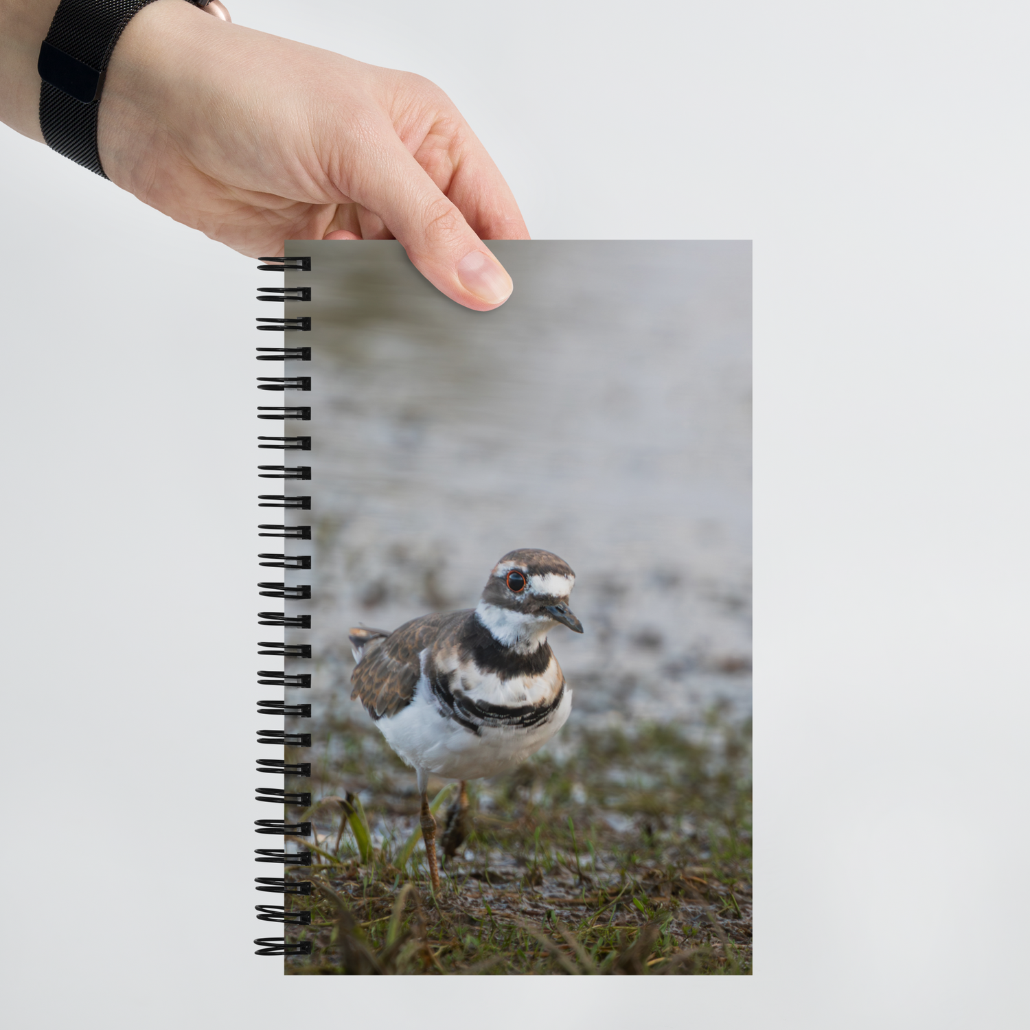 Killdeer Spiral notebook