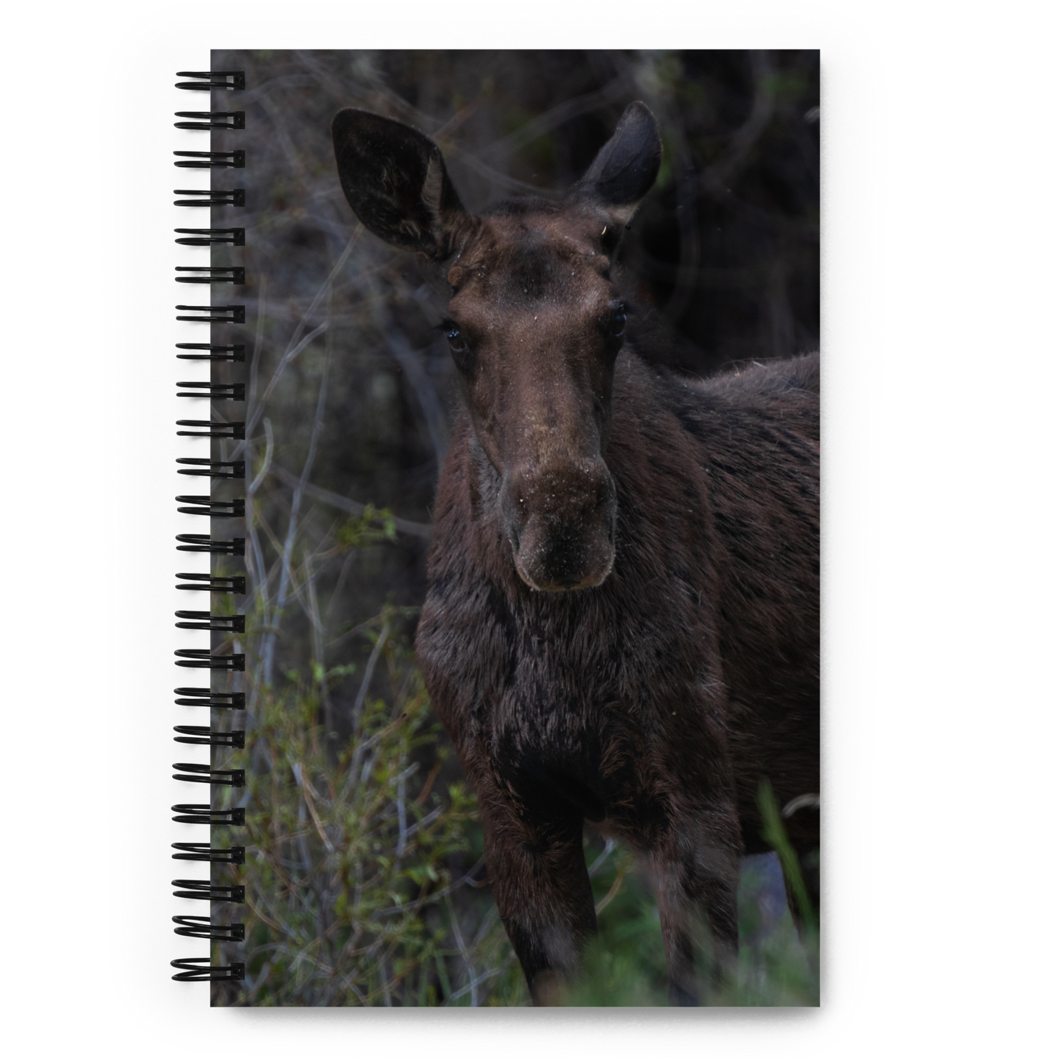Moose Spiral notebook