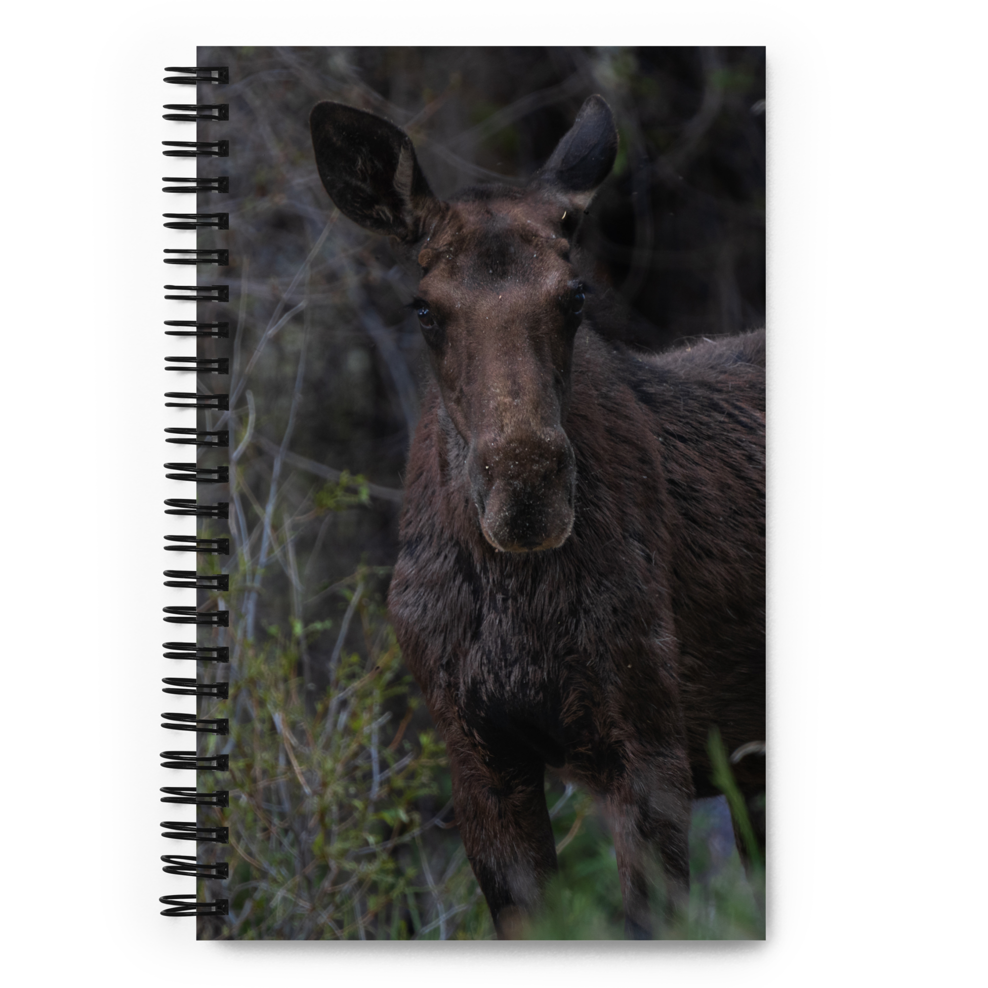 Moose Spiral notebook