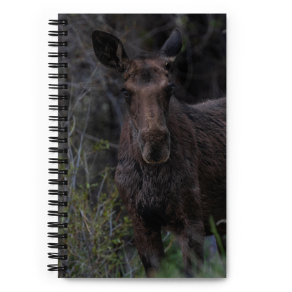 Moose Spiral notebook