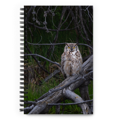 Owl Spiral notebook