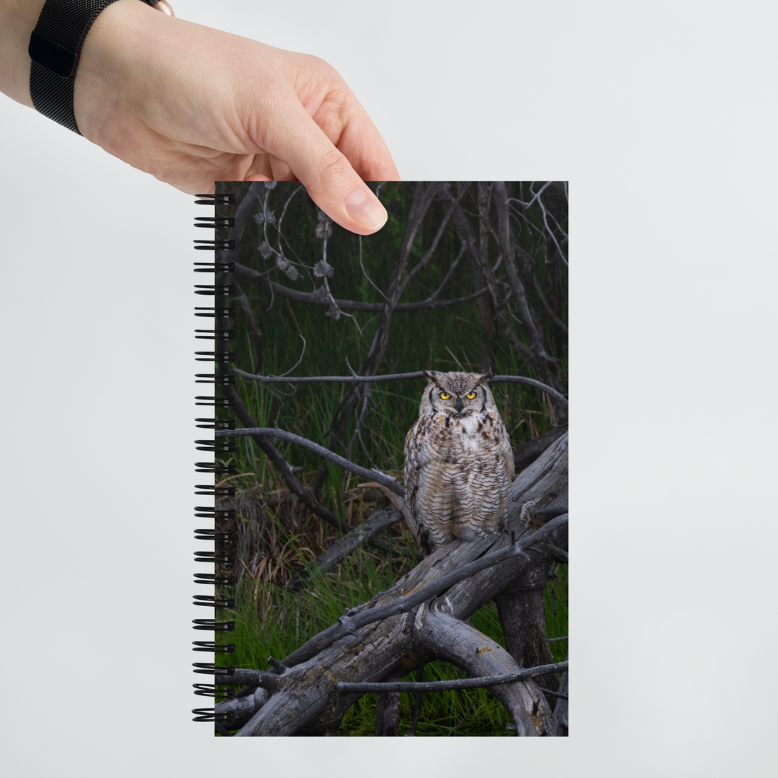 Owl Spiral notebook