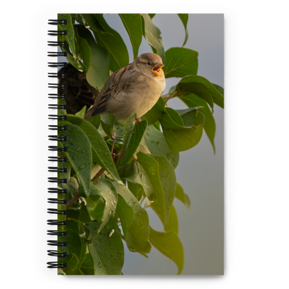 Common Sparrow Spiral notebook