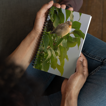 Common Sparrow Spiral notebook