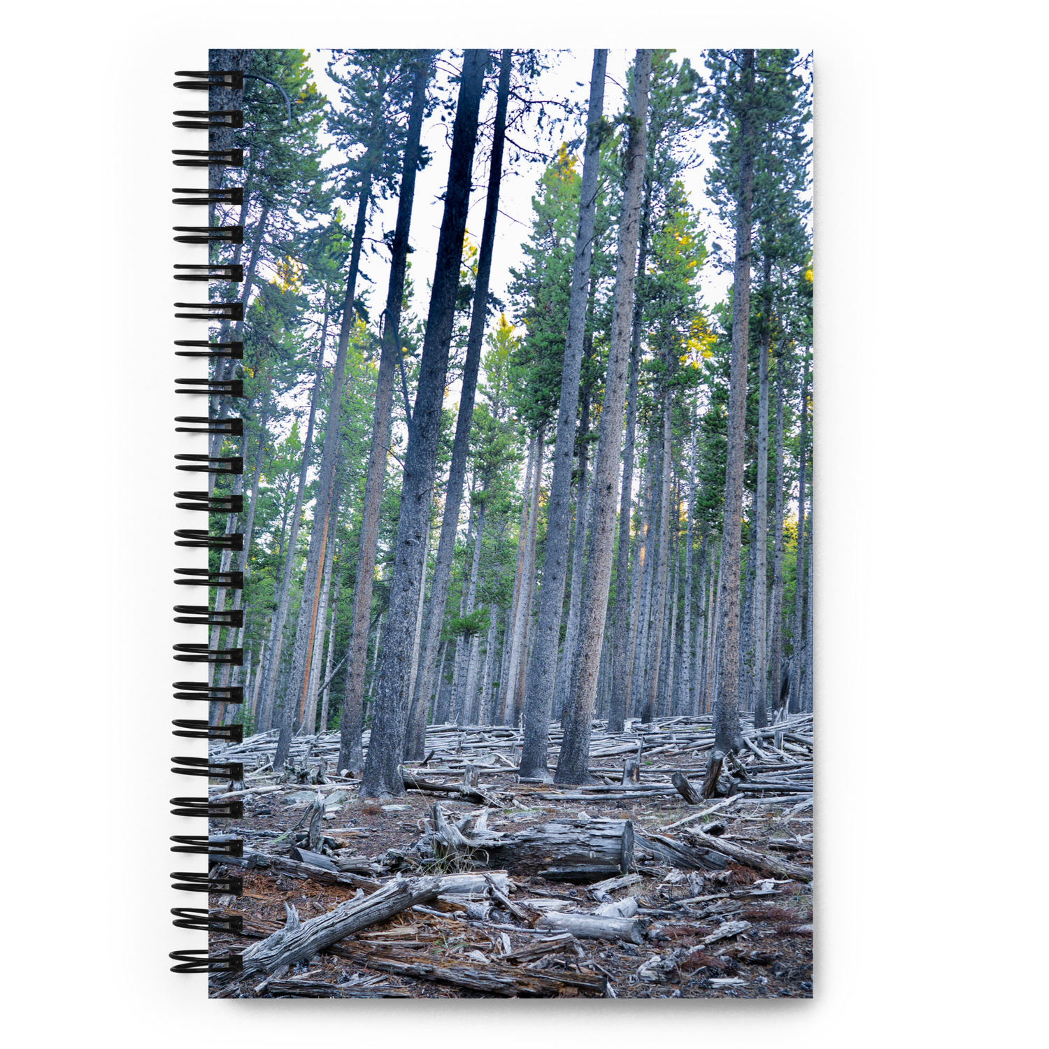 Wyoming in the fall Spiral notebook