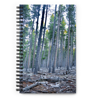Wyoming in the fall Spiral notebook
