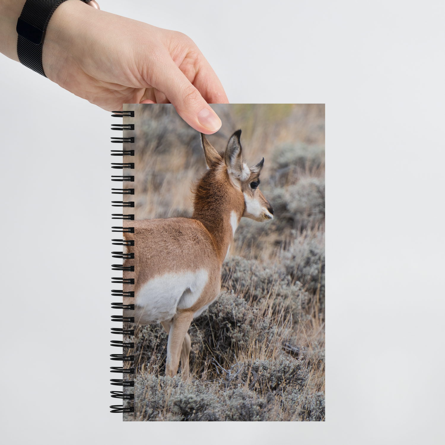 Pronghorn Spiral notebook