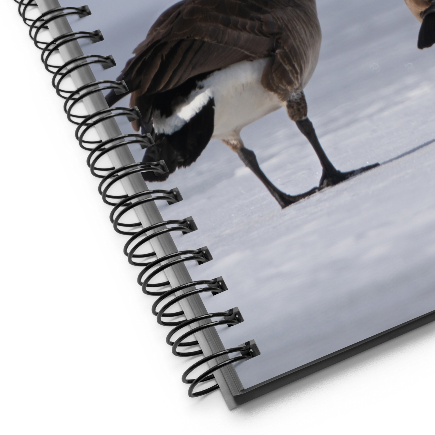 Canada Geese Notebook: A Story of Winter&