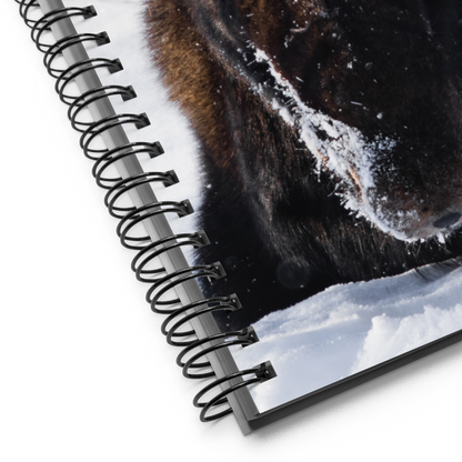 Moose Moments Notebook: Write Your Own Wild Stories