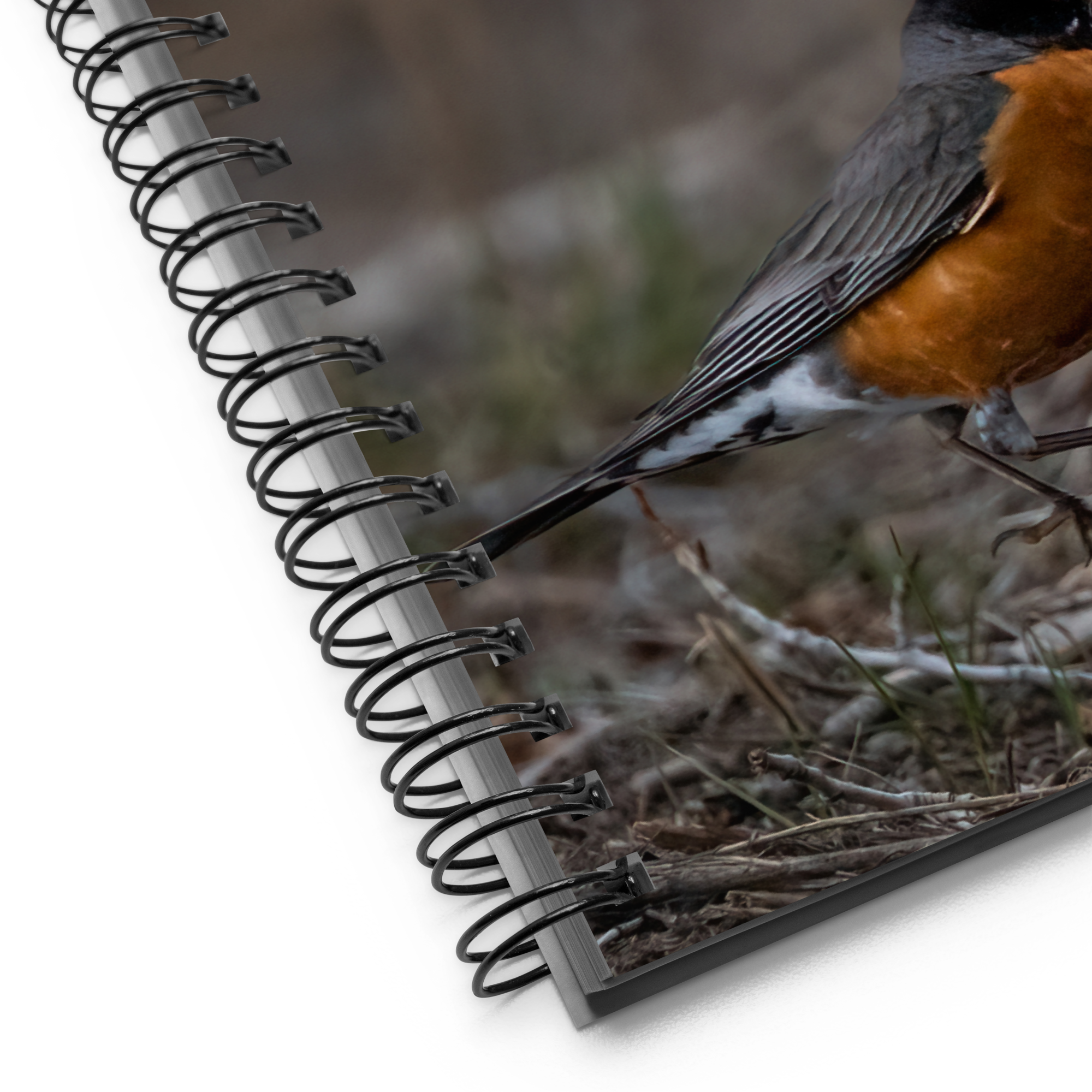 Bobbin Robin Spiral notebook