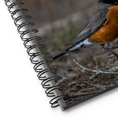 Bobbin Robin Spiral notebook