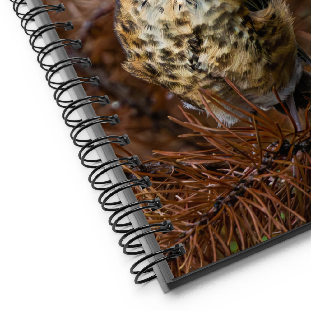 Baby Robin Spiral notebook