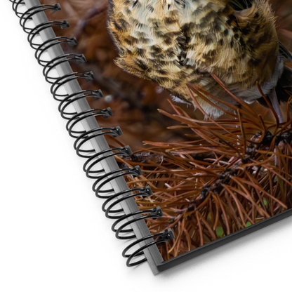 Baby Robin Spiral notebook