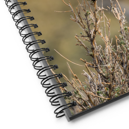 Female Mountain Bluebird Spiral notebook