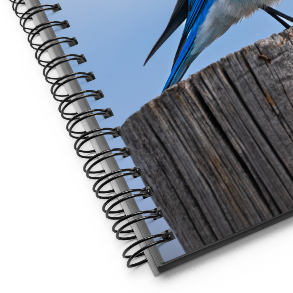 Mountain Bluebird Spiral notebook