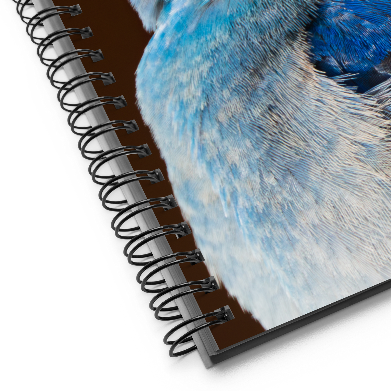 Mountain Bluebird Spiral notebook