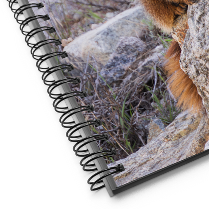 Marmot Spiral notebook