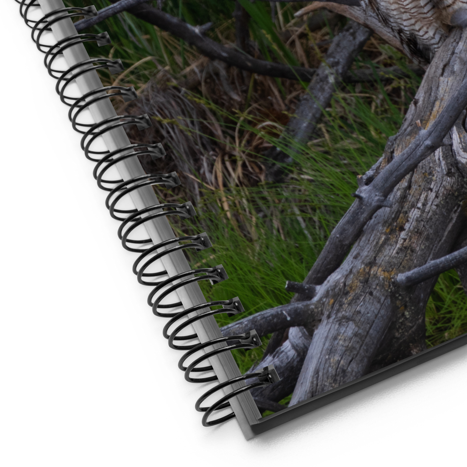 Owl Spiral notebook