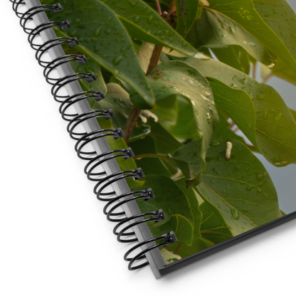 Common Sparrow Spiral notebook