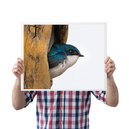 Bird Lover Gift: Tree Swallow Wall Art 3