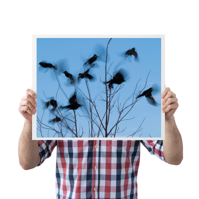 Bird Lover Gift: Flying Birds Wall Art