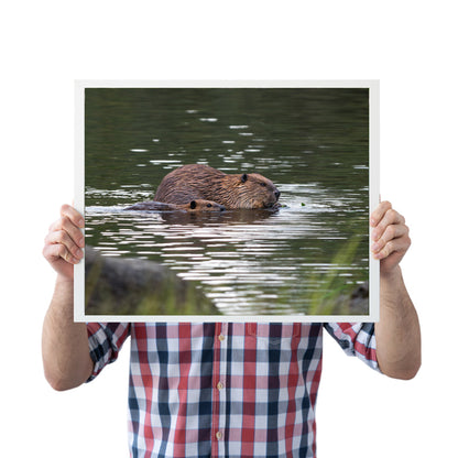 Beaver Artwork