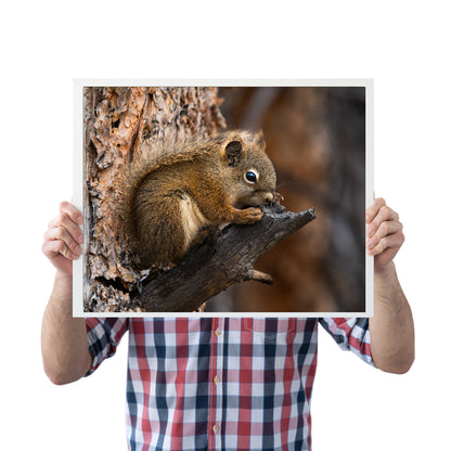 Squirrel Artwork