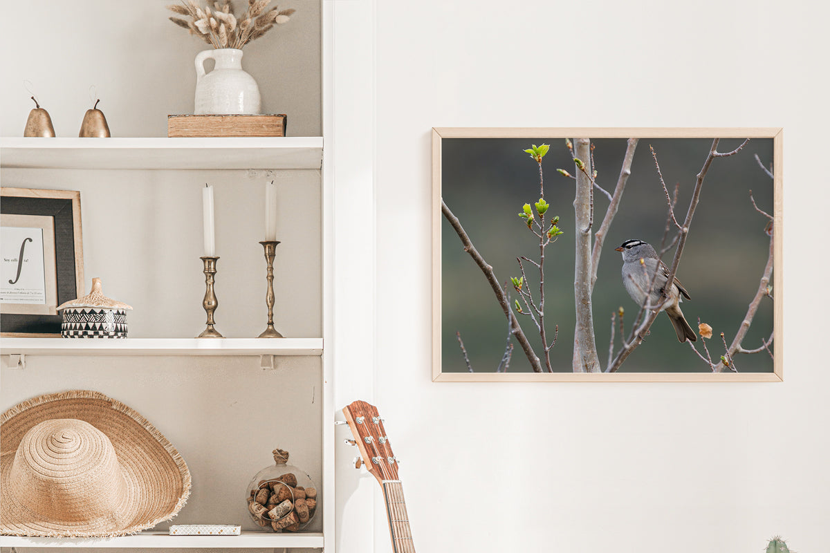 Bird Lover Gift:  Little Bird Wall Art