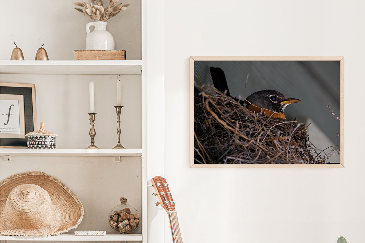 Bird Lover Gift: Mama Robin Wall Art