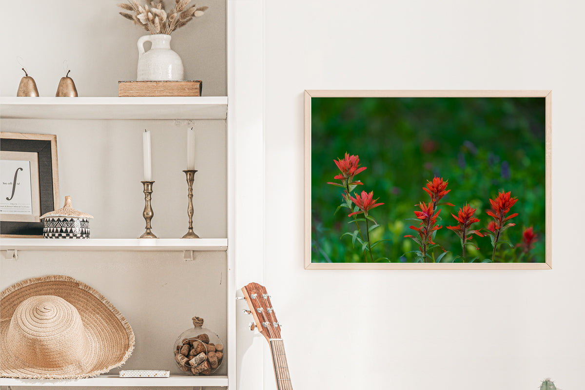 Indian Paint Brush Wall Art 2