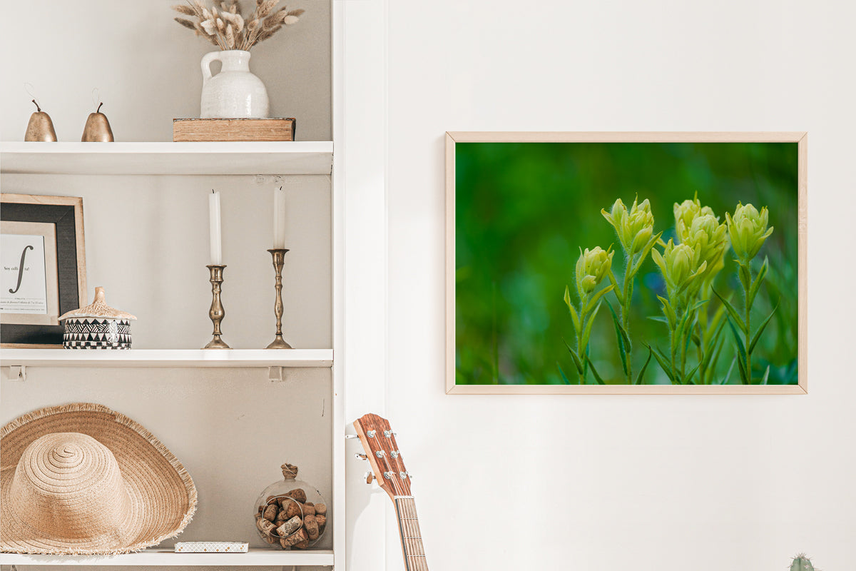 Indian Paint Brush Wall Art