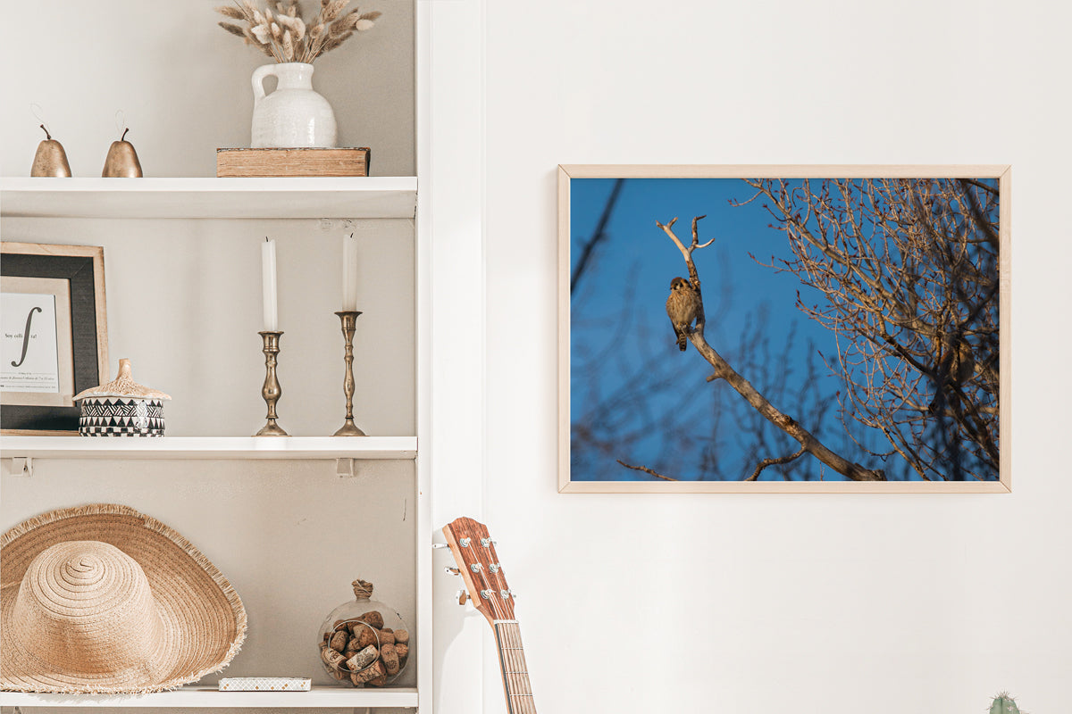 Bird Lover Gift:  Krestel Wall Art