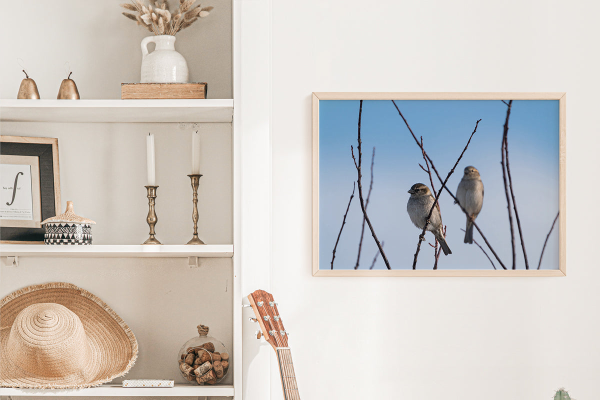 Bird Lover Gift:  Little Birds Wall Art
