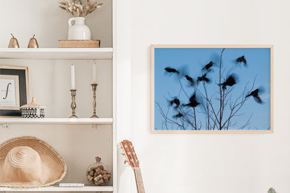 Bird Lover Gift: Flying Birds Wall Art