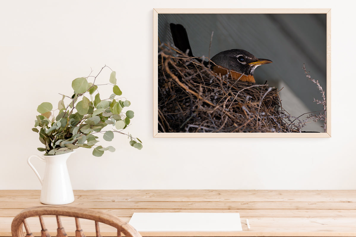 Bird Lover Gift: Mama Robin Wall Art