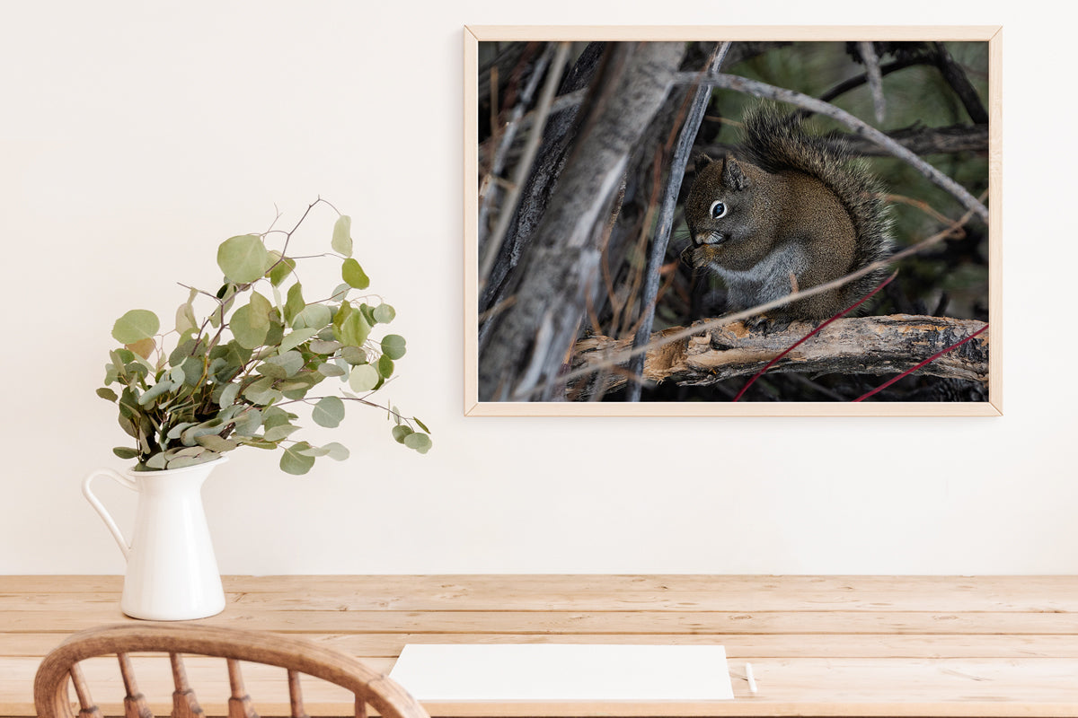 Wildlife Lover Gift: Squirrel Wall Art