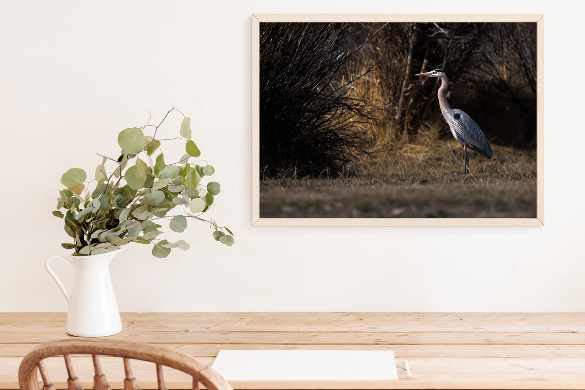 Bird Lover Gift: Blue Heron
